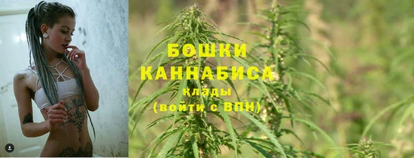 дмт Тайга