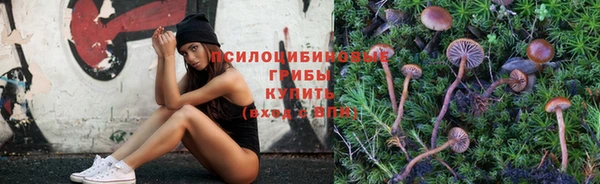 дурь Верхний Тагил
