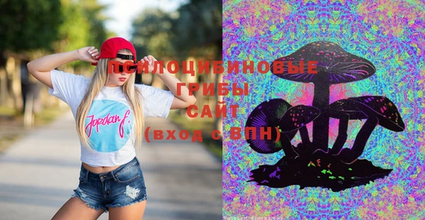 дурь Верхний Тагил