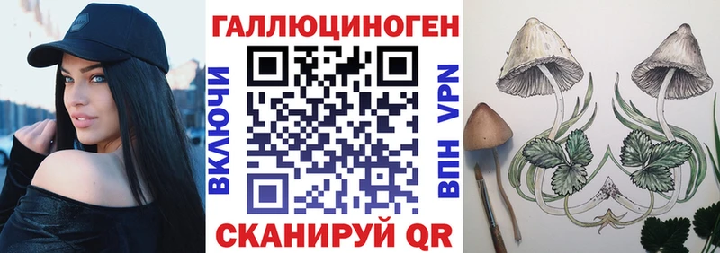 закладки  Киренск  Псилоцибиновые грибы Cubensis 